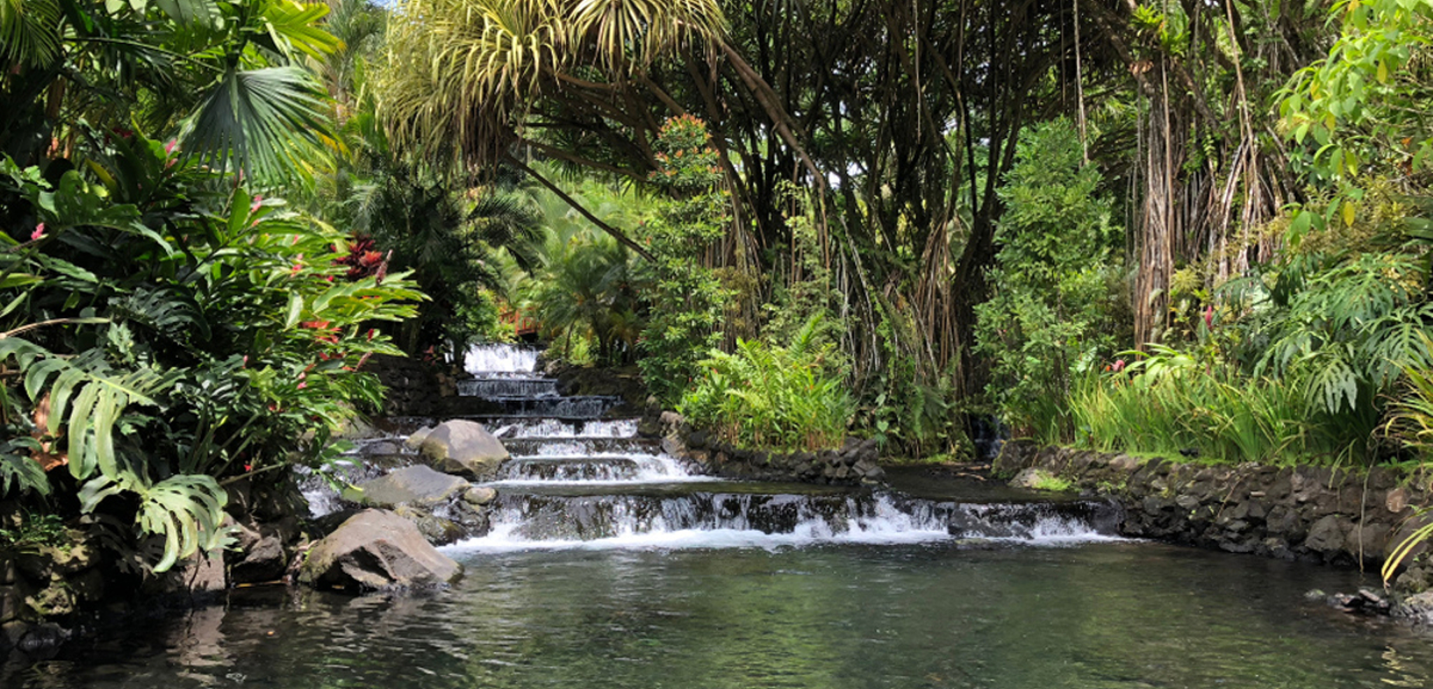 parfaitement intégrées à l'environnement