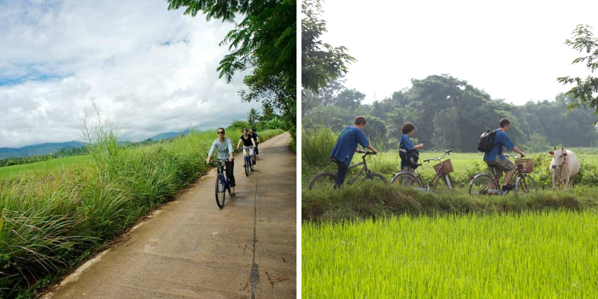Ou sur les chemins à bicyclette 