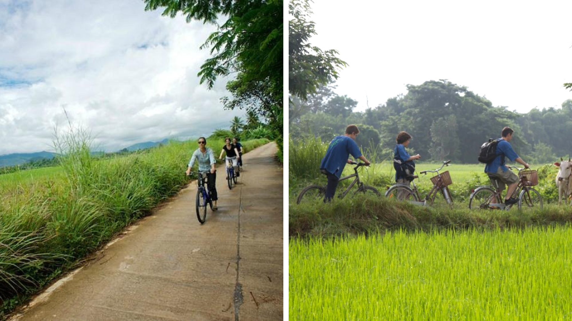 Ou sur les chemins à bicyclette