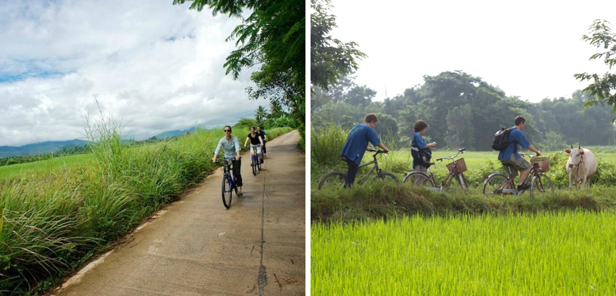 Ou sur les chemins à bicyclette