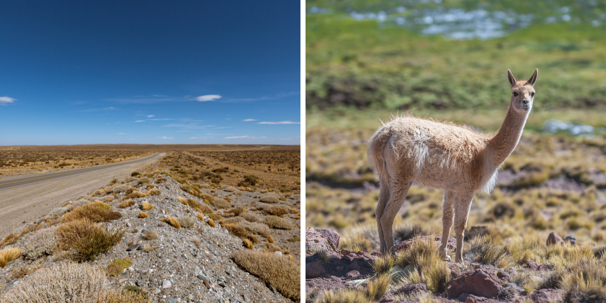 Avant de rejoindre la frontière argentine par la mythique Route 40 