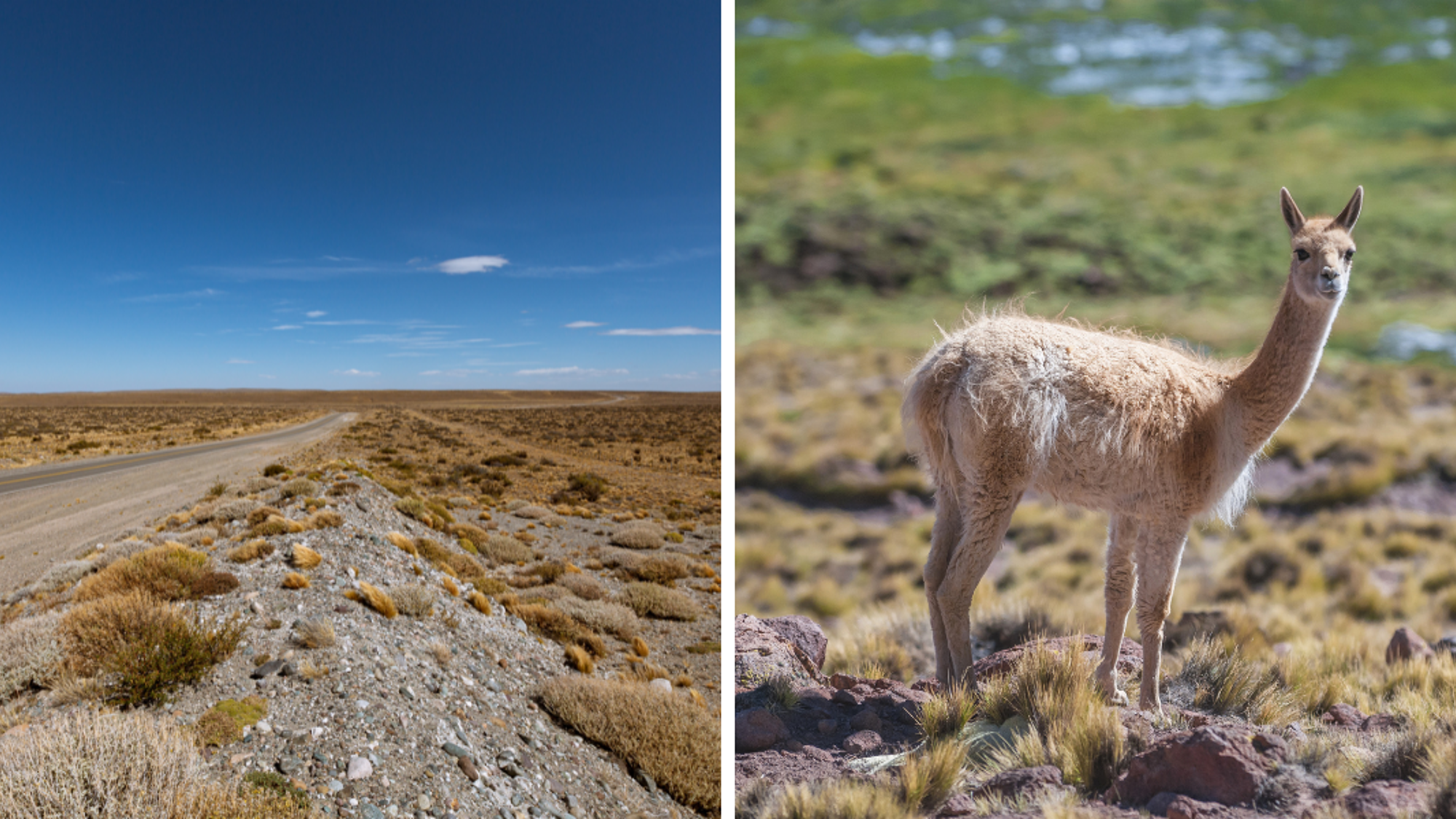 Avant de rejoindre la frontière argentine par la mythique Route 40