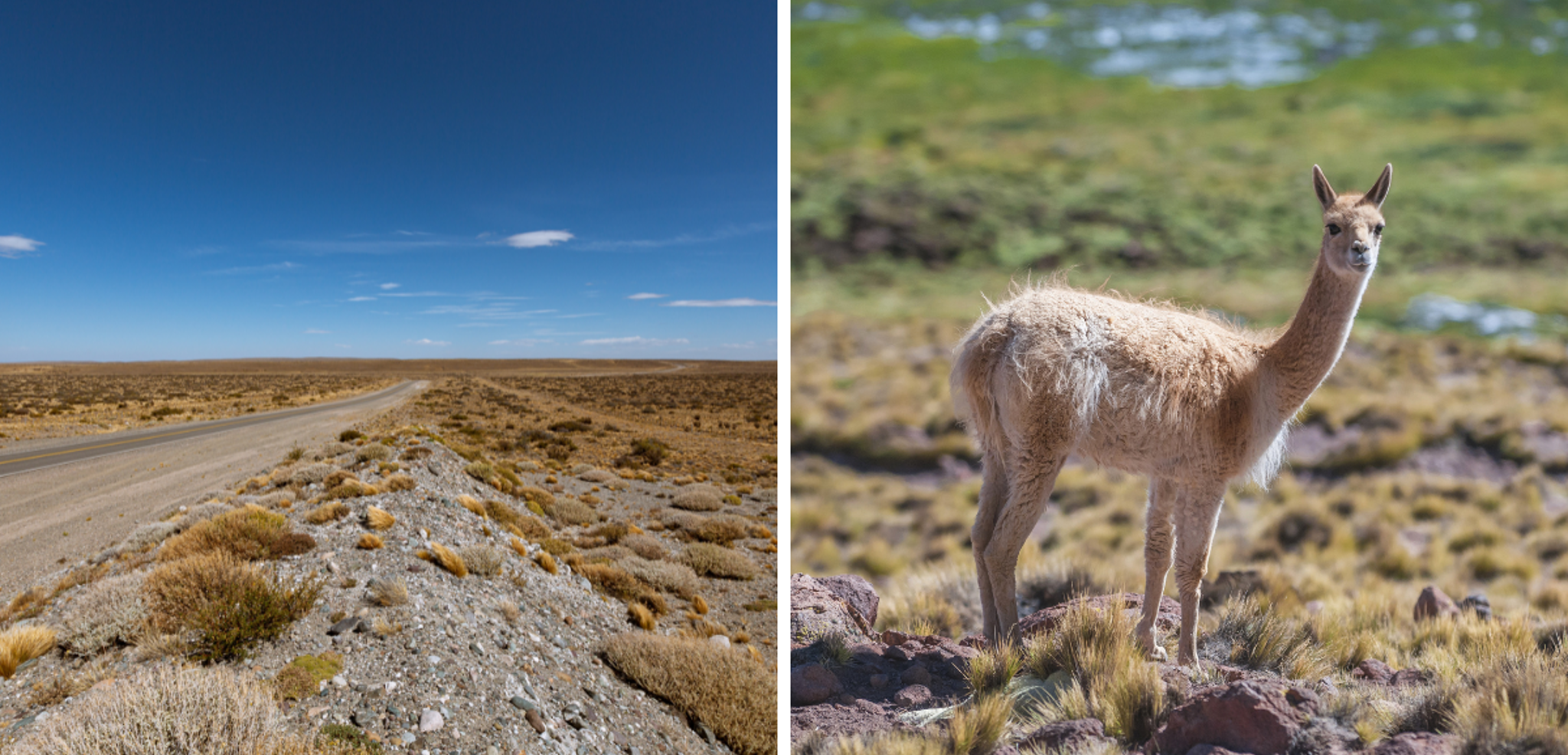 Avant de rejoindre la frontière argentine par la mythique Route 40