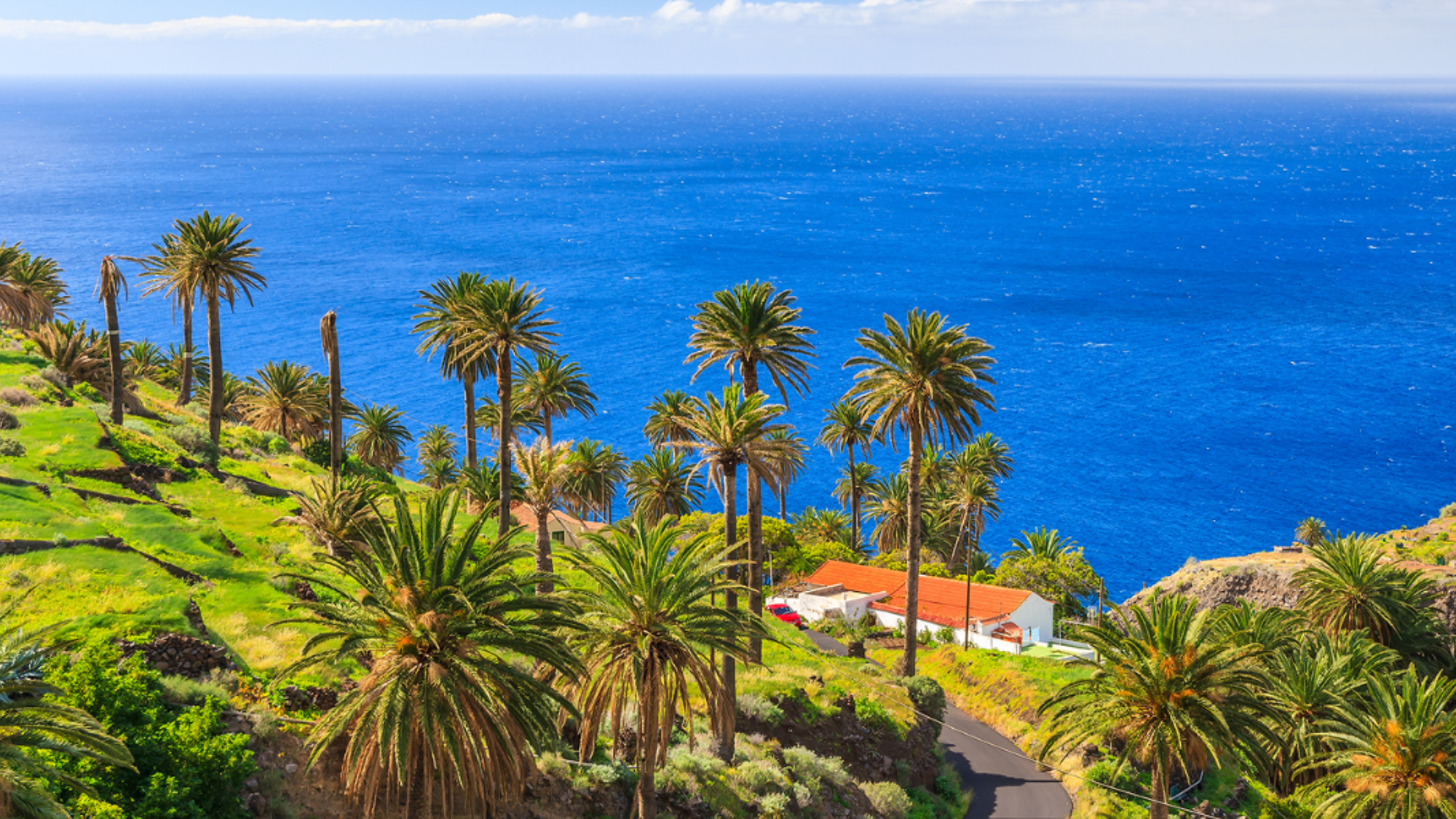 Pour une semaine dynamique et ressourçante