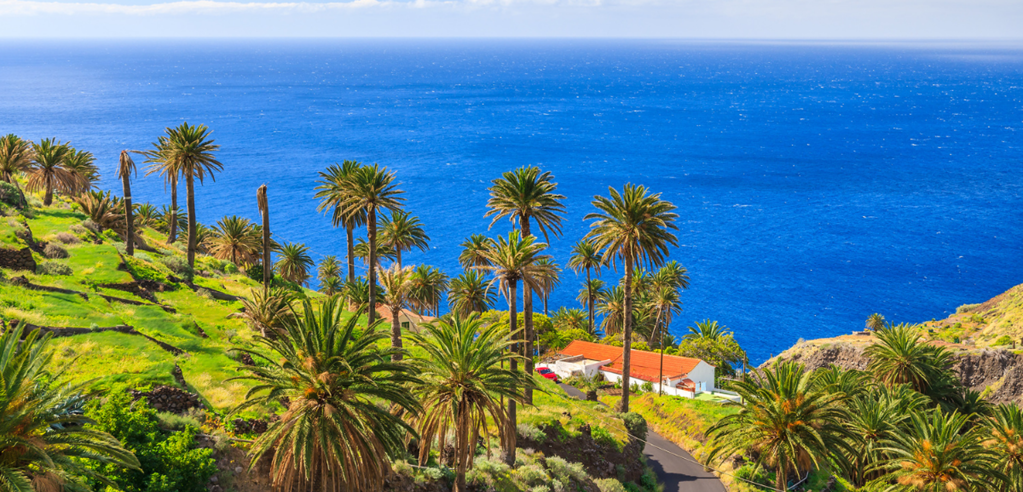 Pour une semaine dynamique et ressourçante