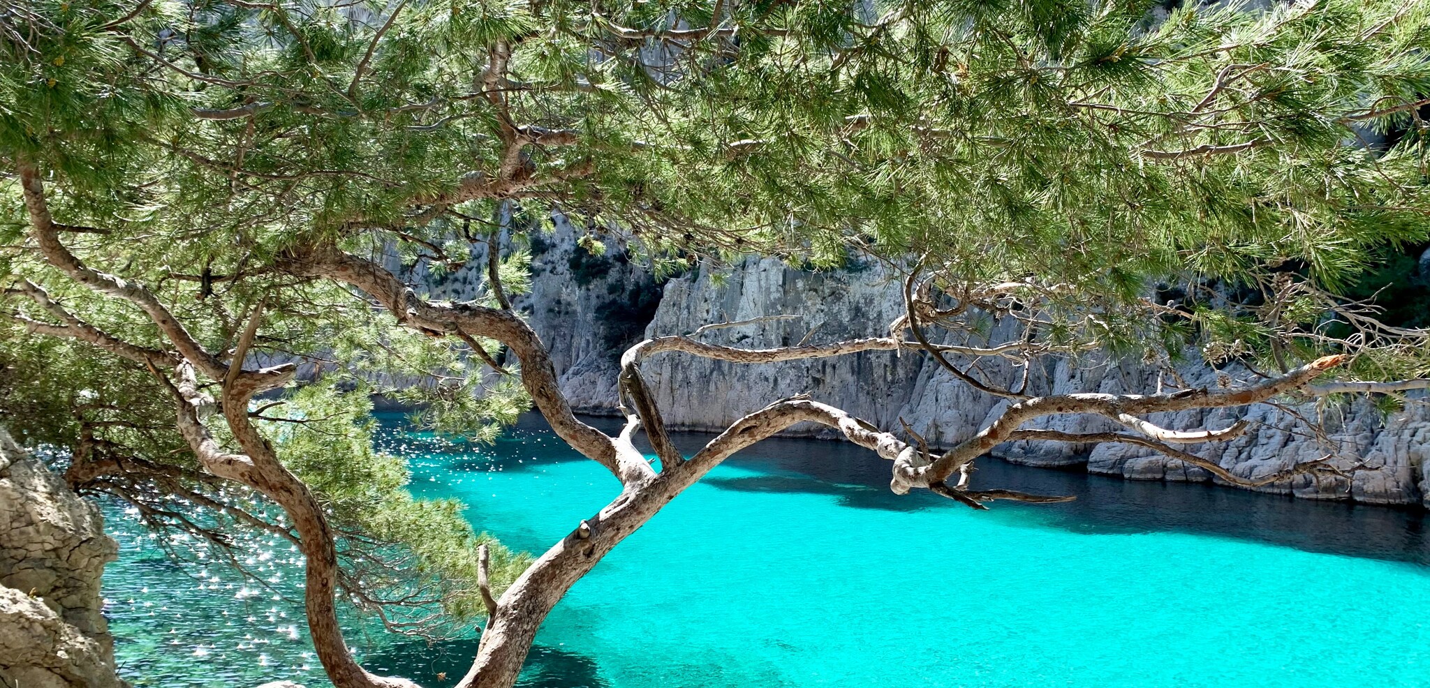 Entre eau turquoise et falaises blanches