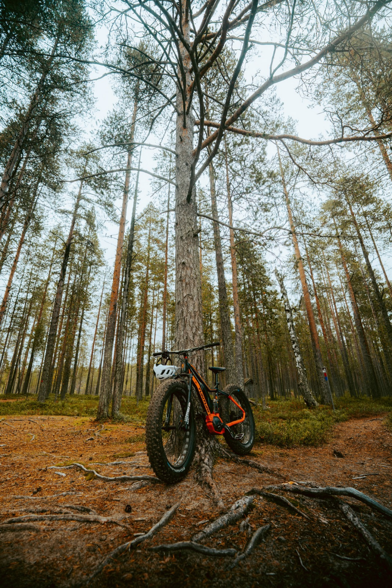 VTT, Hossa, Finlande ©koplastudio 