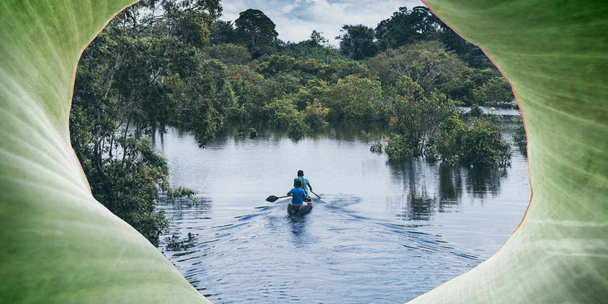 Bienvenue au coeur de la forêt amazonienne ! 