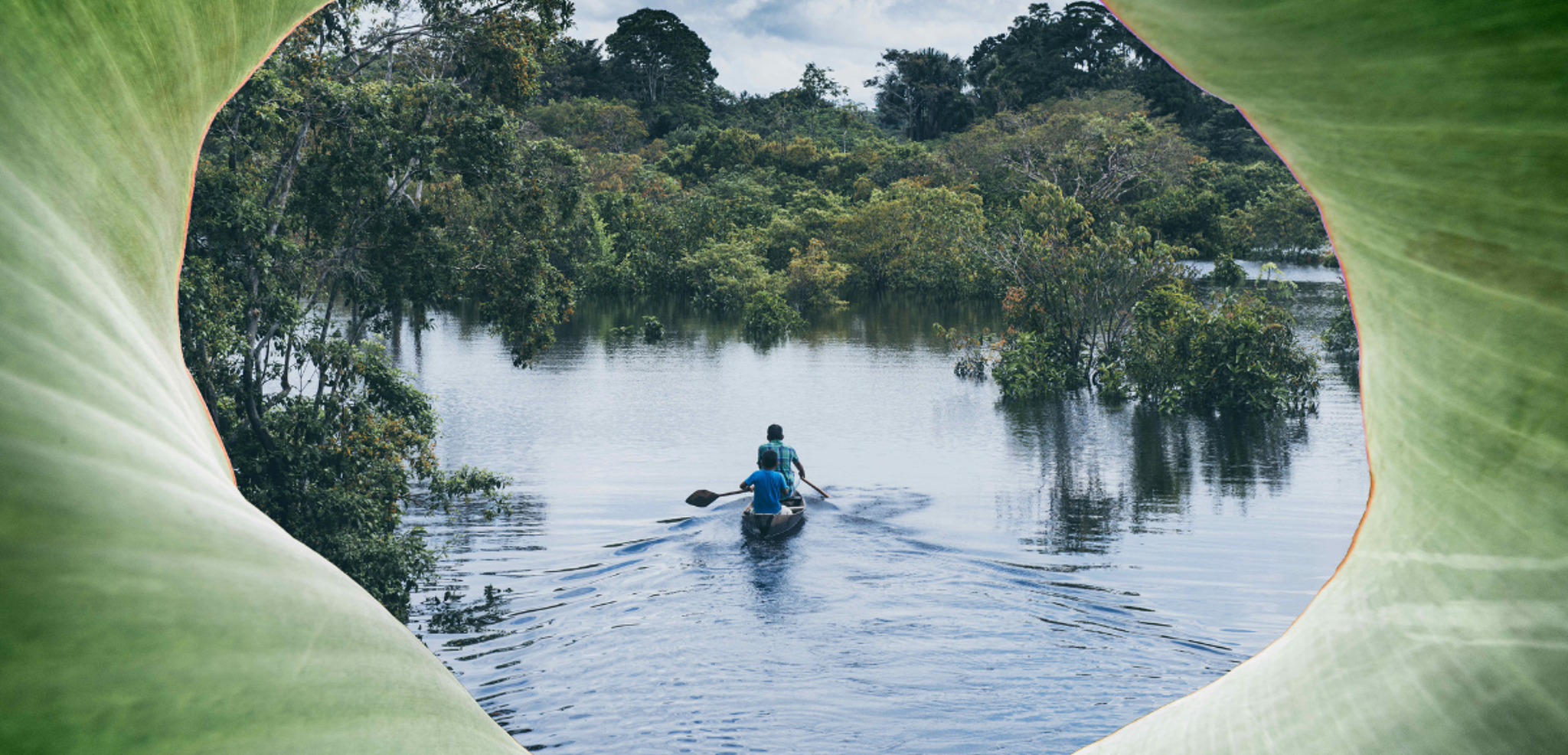 Bienvenue au coeur de la forêt amazonienne !