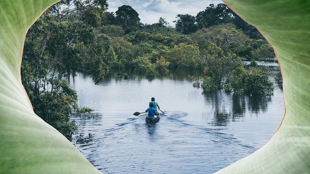 Bienvenue au coeur de la forêt amazonienne !