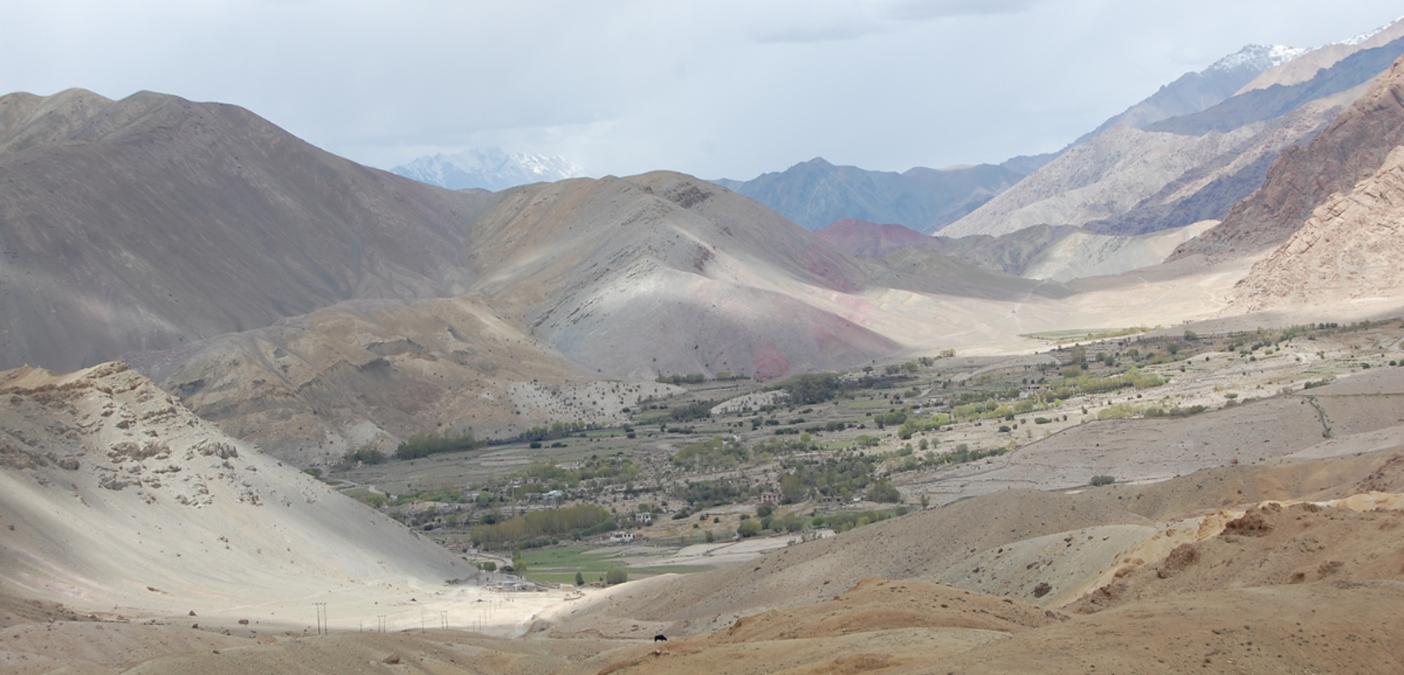 Rendez-vous à Hemis Shukpachen