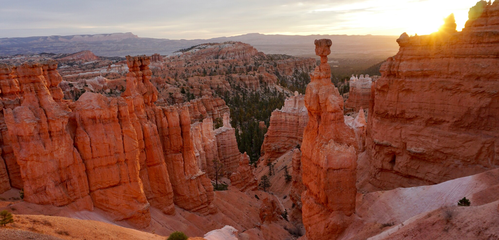 Bryce Canyon et ses hoodoos