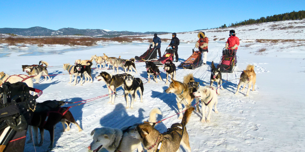 Une aventure humaine incroyable !