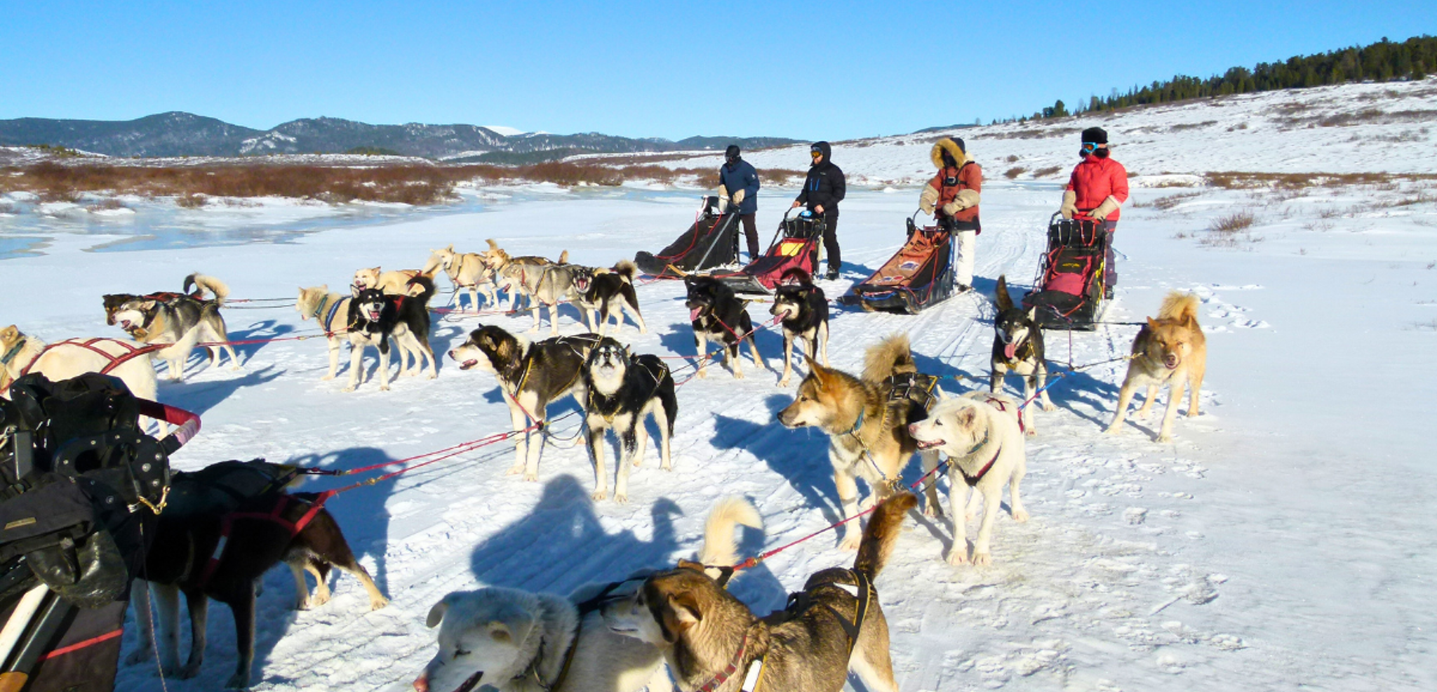 Une aventure humaine incroyable !