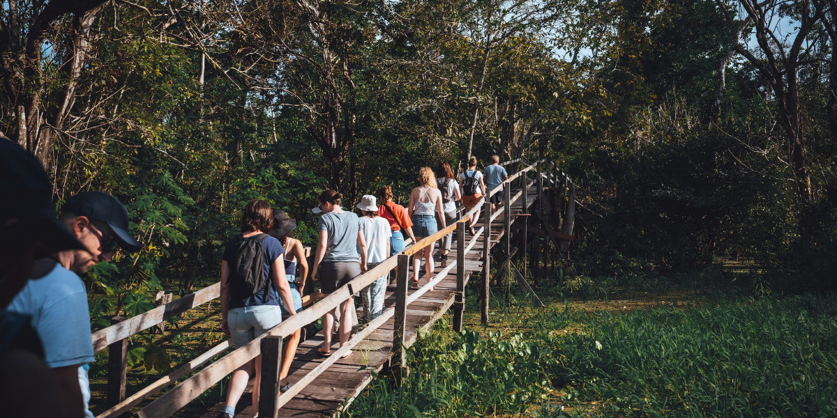 En balade sur les passerelles