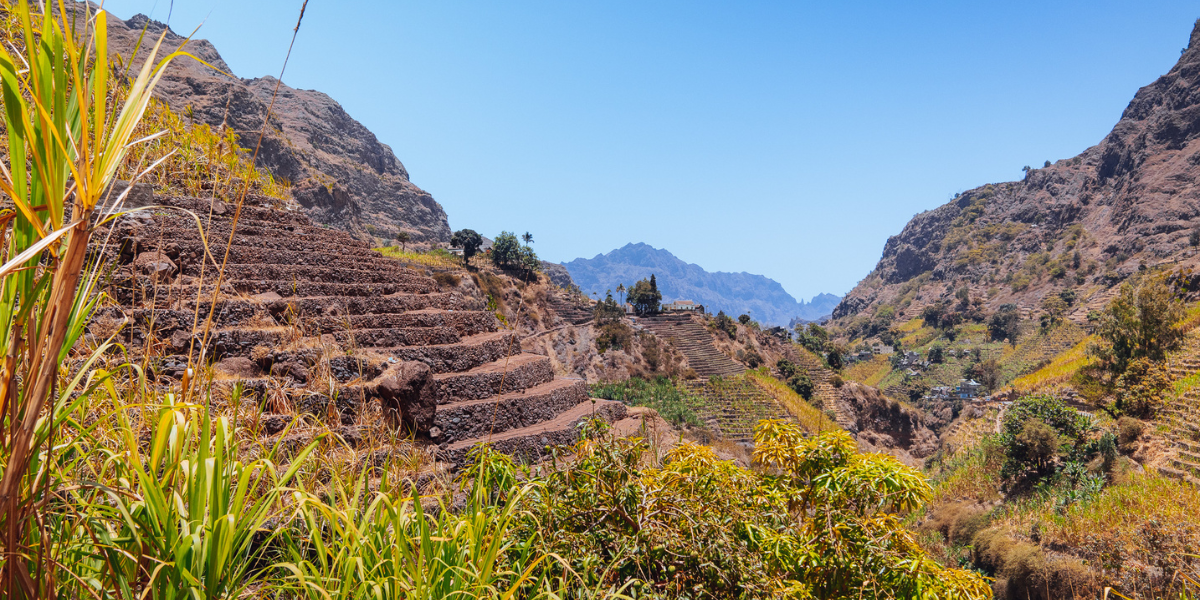 A la végétation luxuriante