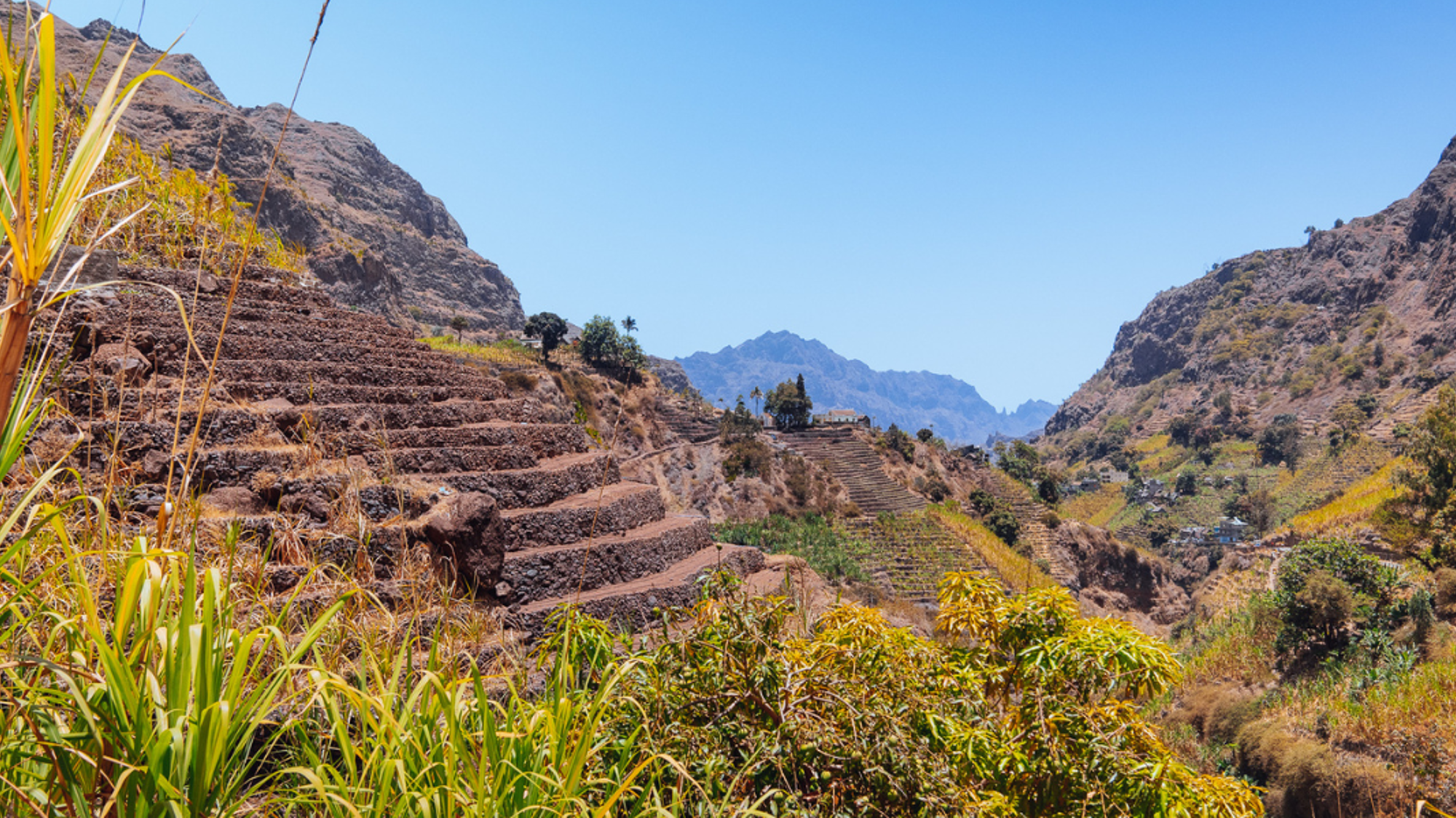A la végétation luxuriante