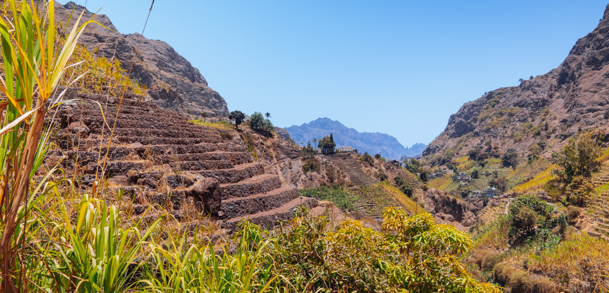 A la végétation luxuriante