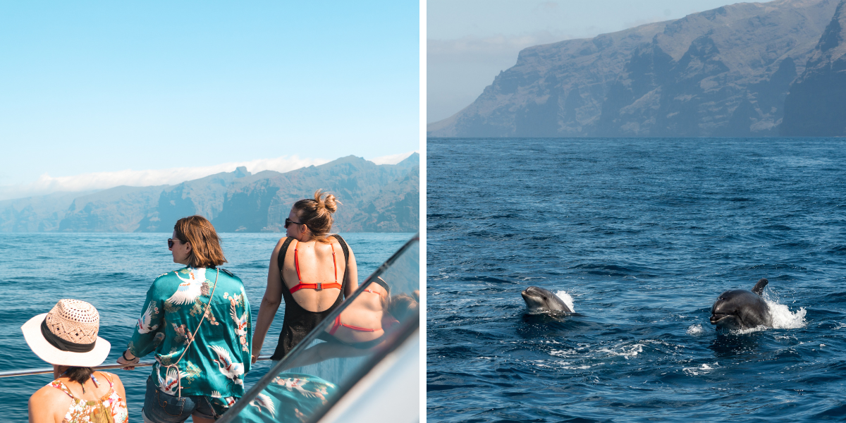 ...aux côtes sauvages ! 