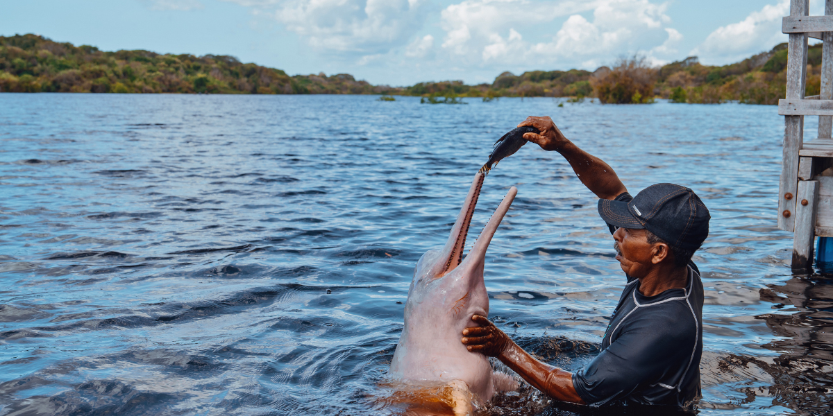 Rencontre avec les dauphins roses