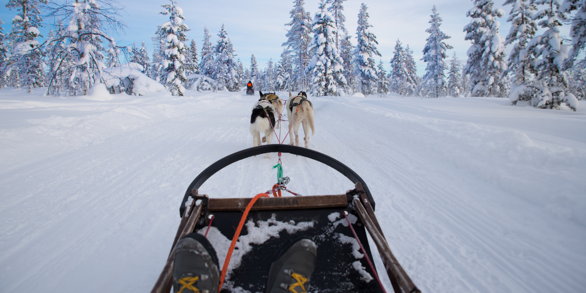 Profitez du silence dans les paysages immaculés