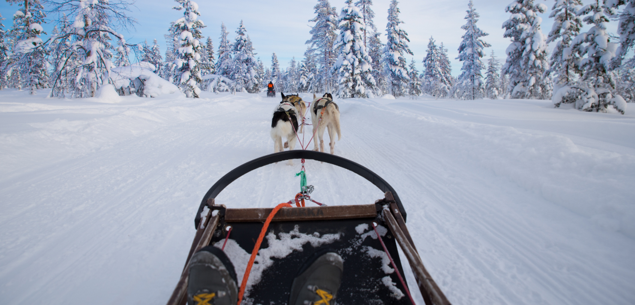 Profitez du silence dans les paysages immaculés