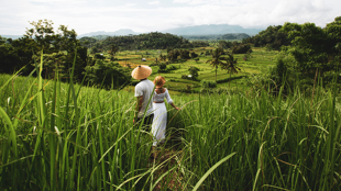 Bienvenue sur l'île des Dieux !