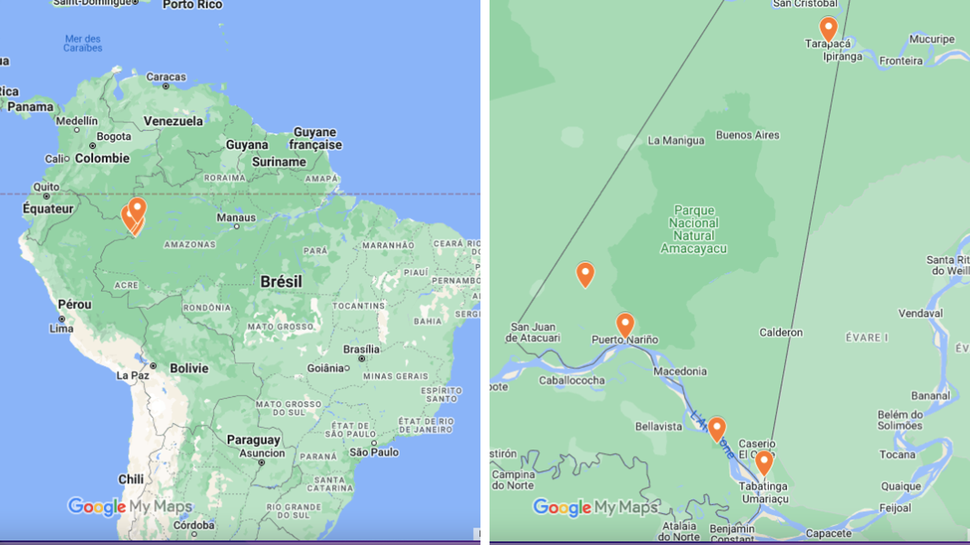 Votre parcours à travers la jungle amazonienne