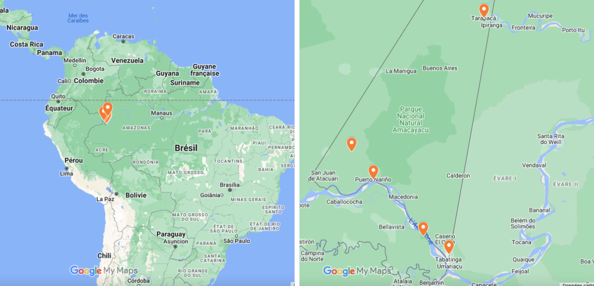 Votre parcours à travers la jungle amazonienne