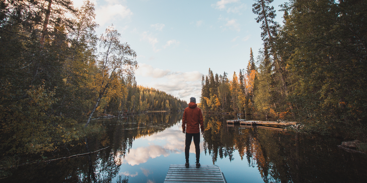 Bienvenue en Finlande, dans le parc d'Hossa