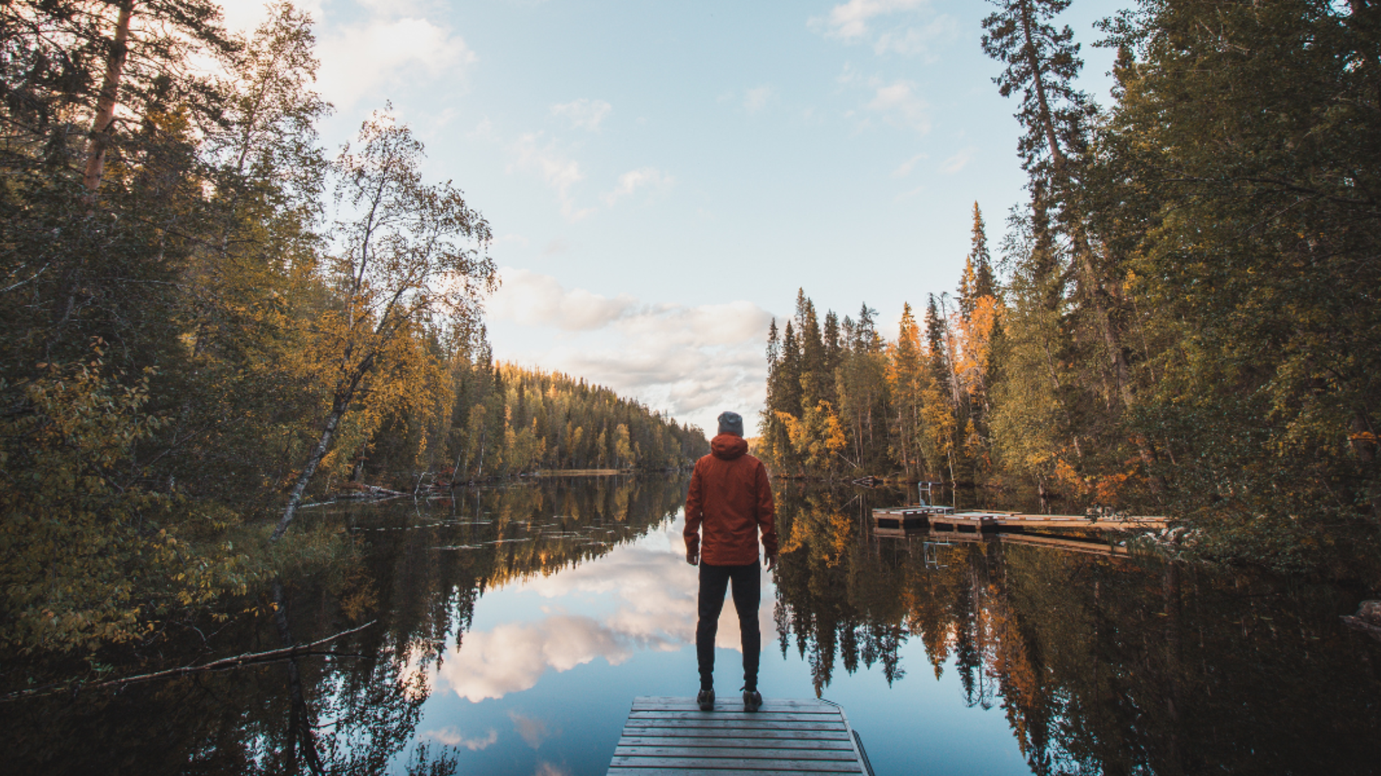 Bienvenue en Finlande, dans le parc d'Hossa