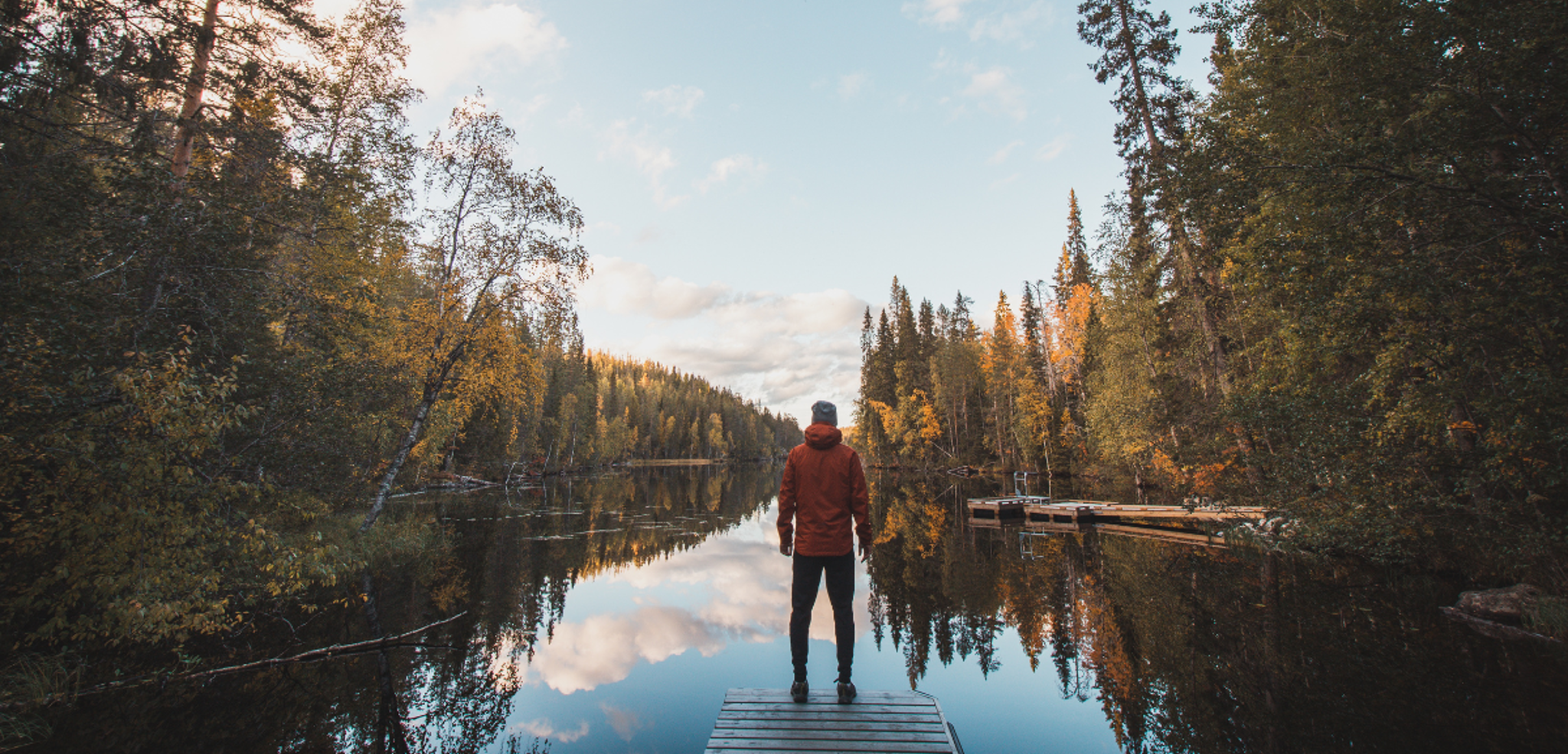 Bienvenue en Finlande, dans le parc d'Hossa