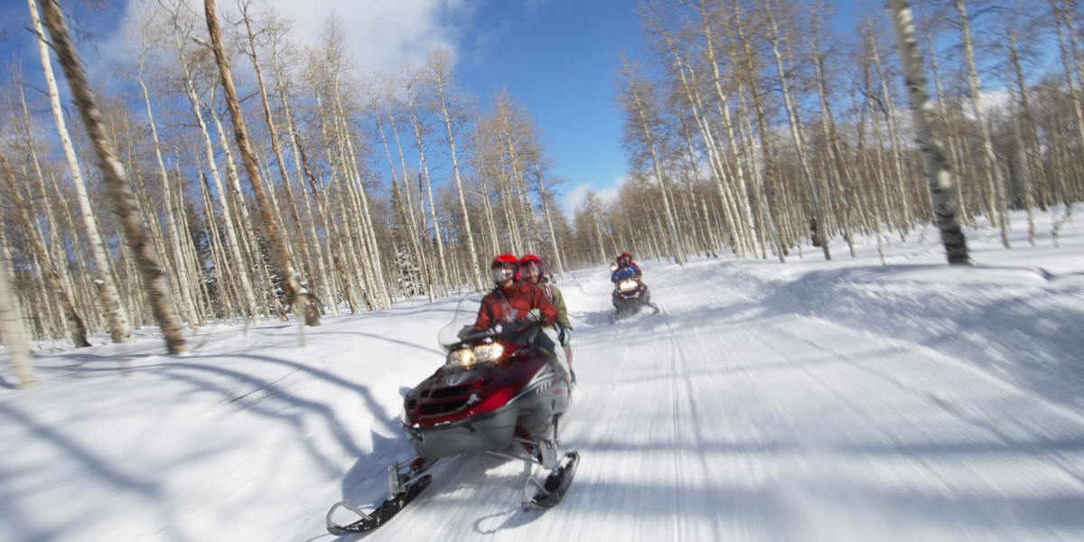 Pour une semaine riche en émotions