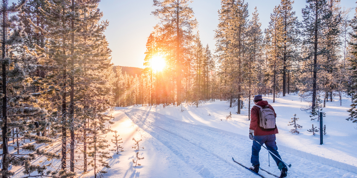 Exploration de la nature en skis de forêt
