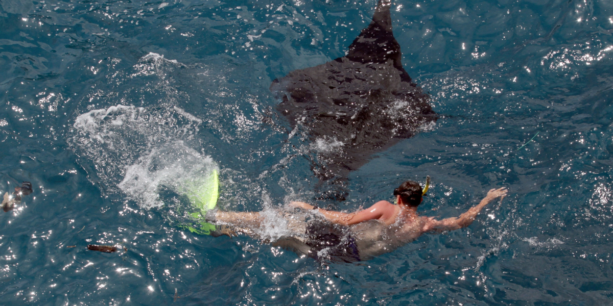 Sortie snorkeling autour de Nusa Penida (J14)