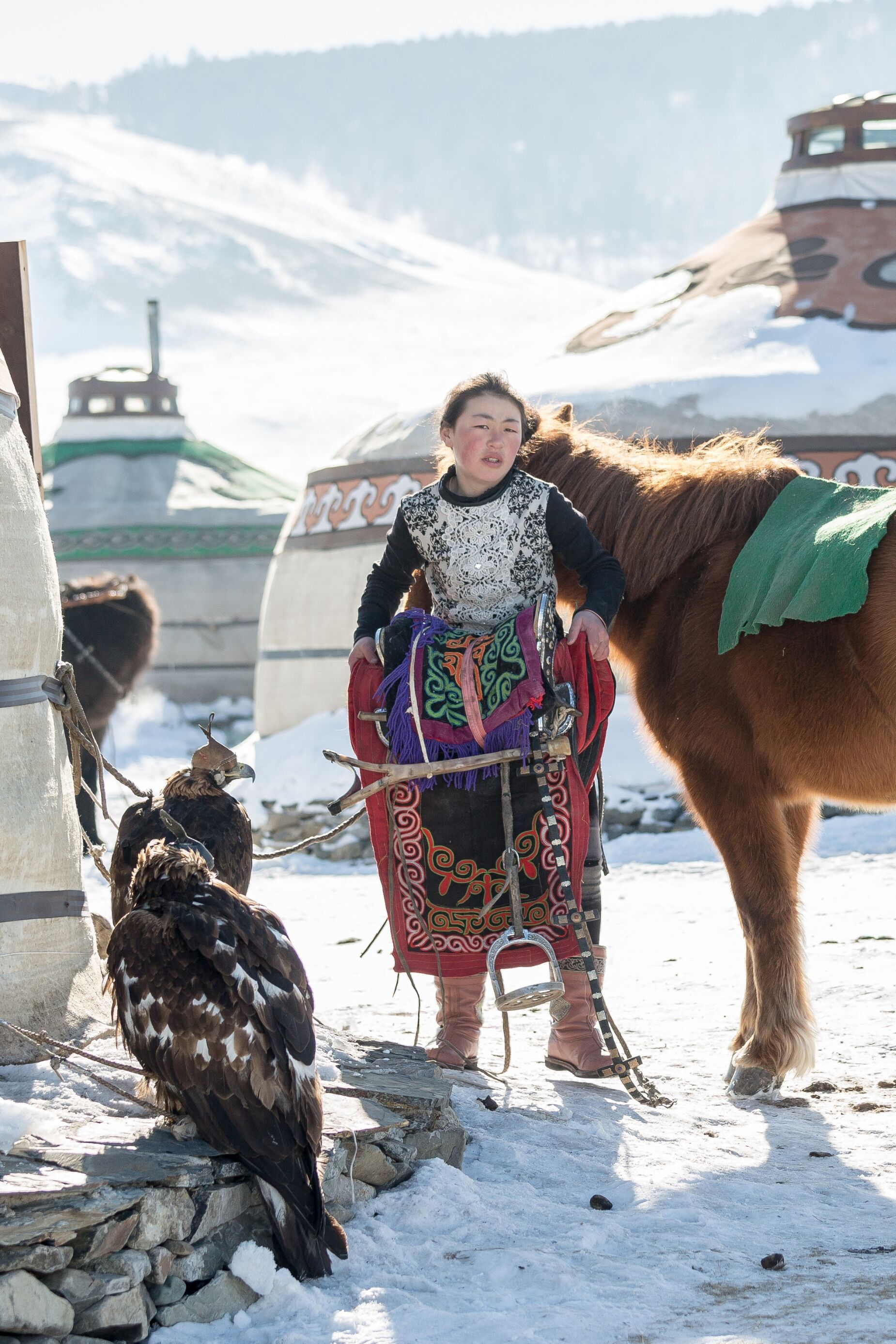 Frissonner en Mongolie 