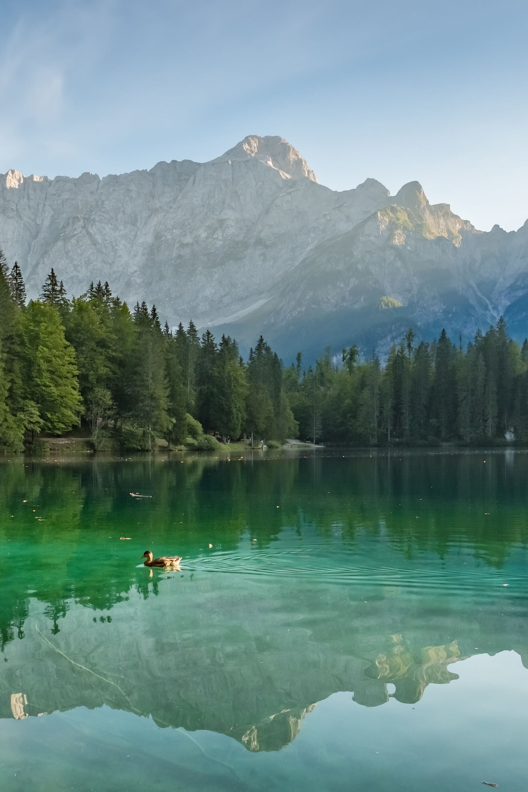 Marcher entre Italie et Slovénie dans les Alpes 