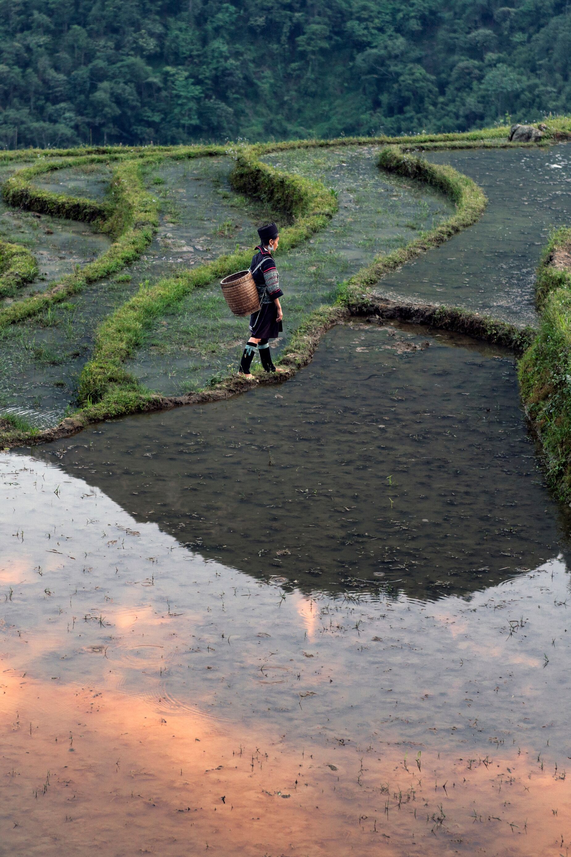Marcher dans le Haut Tonkin au Vietnam 