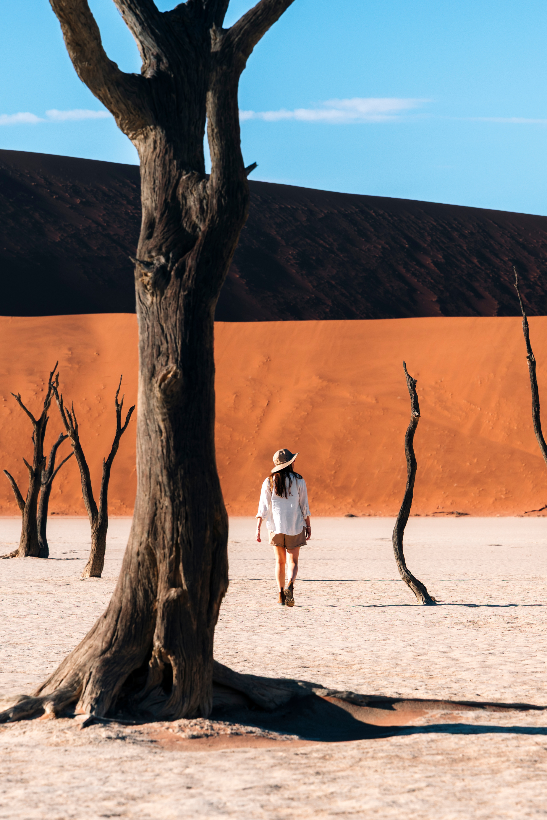 Barouder en Namibie 